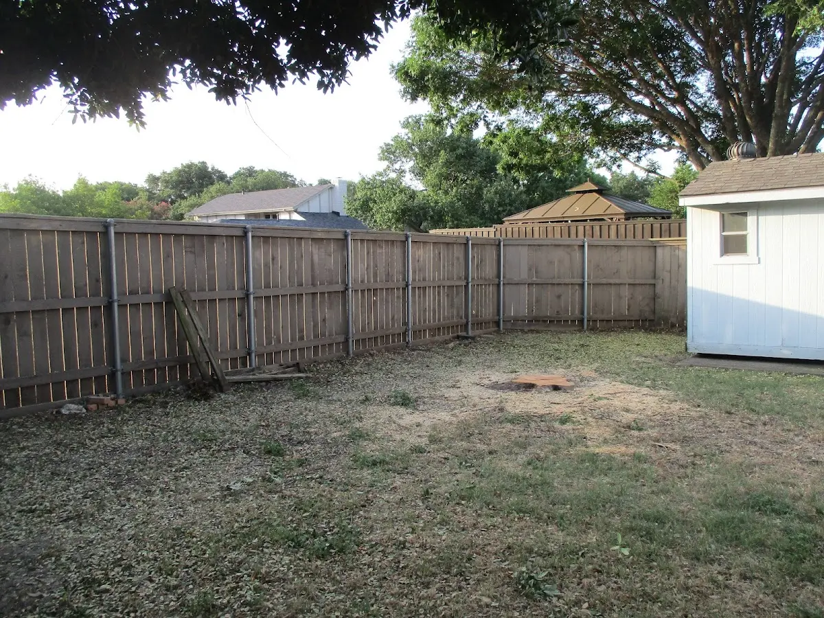 Cleared yard after professional tree removal in Marble Falls